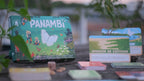 Panambi