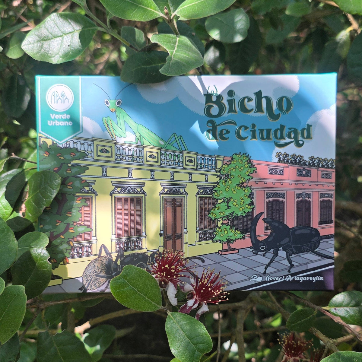 Caja de Bicho de Ciudad entre plantas