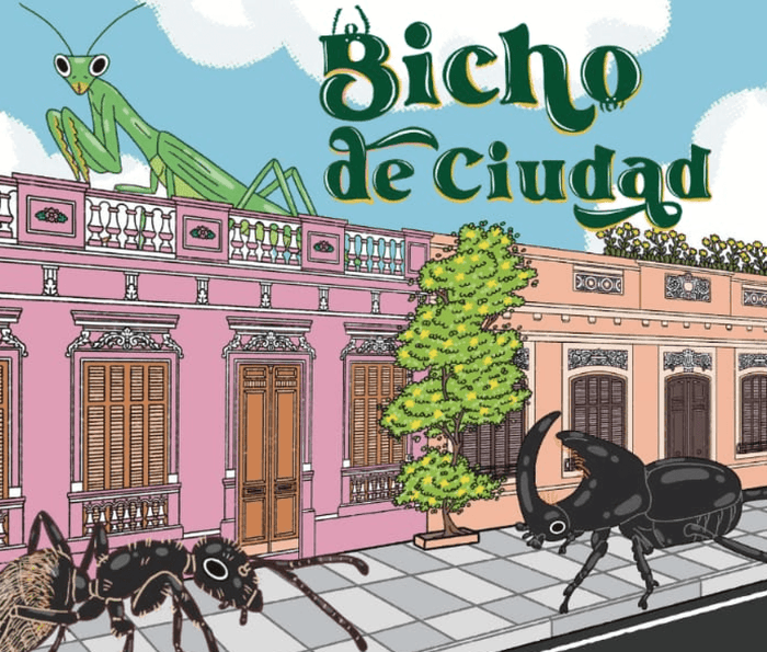 Bicho de Ciudad